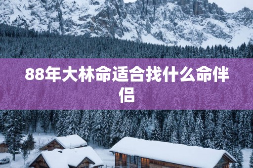 88年大林命适合找什么命伴侣