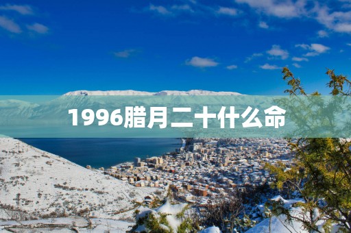 1996腊月二十什么命