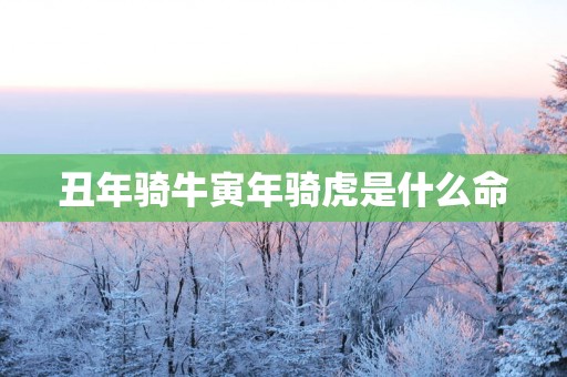 丑年骑牛寅年骑虎是什么命