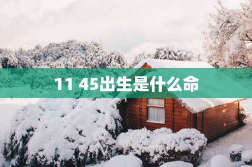 11 45出生是什么命