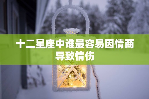 十二星座中谁最容易因情商导致情伤