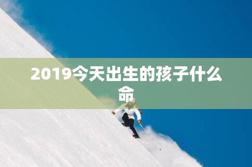 2019今天出生的孩子什么命