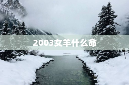 2003女羊什么命