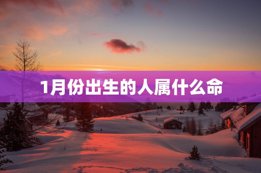 1月份出生的人属什么命