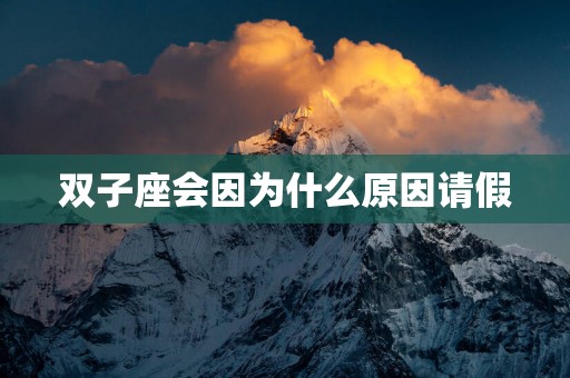 双子座会因为什么原因请假