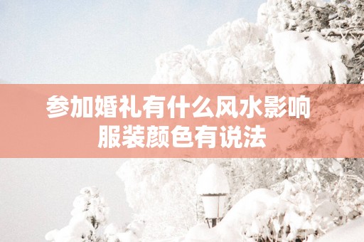 参加婚礼有什么风水影响 服装颜色有说法