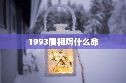 1993属相鸡什么命