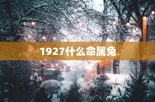 1927什么命属兔