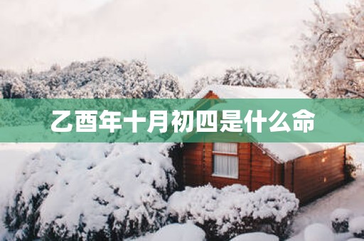 乙酉年十月初四是什么命