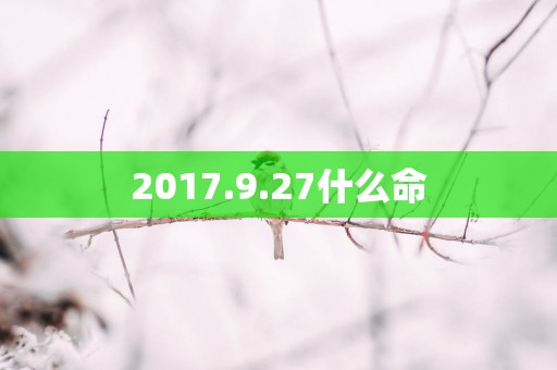 2017.9.27什么命