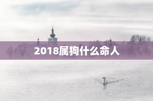 2018属狗什么命人