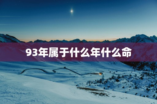 93年属于什么年什么命
