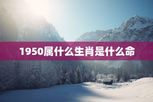 1950属什么生肖是什么命