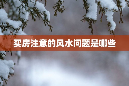 买房注意的风水问题是哪些