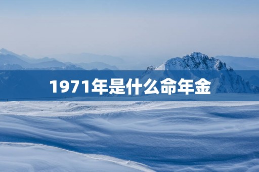 1971年是什么命年金