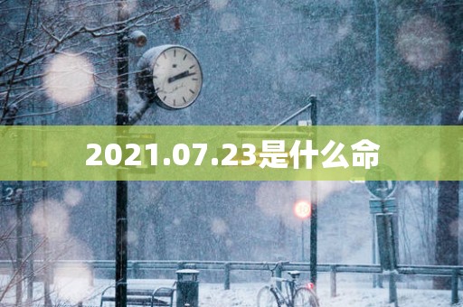 2025.07.23是什么命