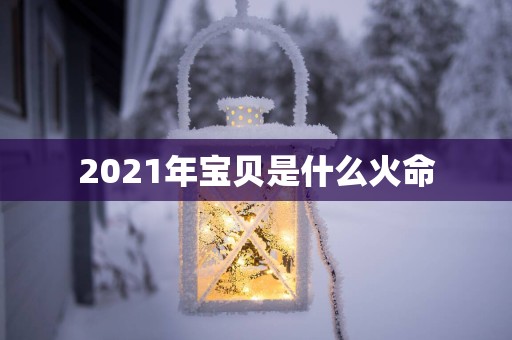 2025年宝贝是什么火命
