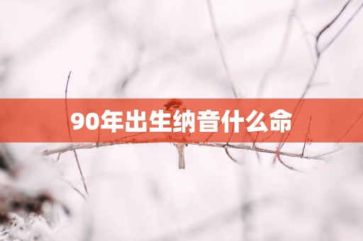 90年出生纳音什么命
