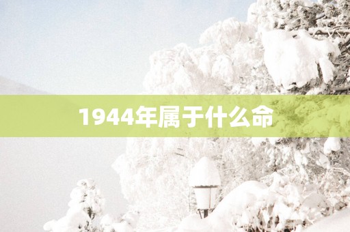 1944年属于什么命