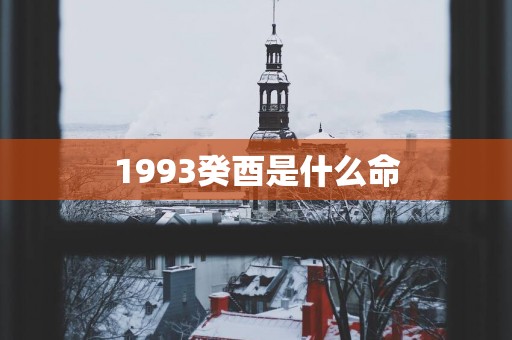1993癸酉是什么命