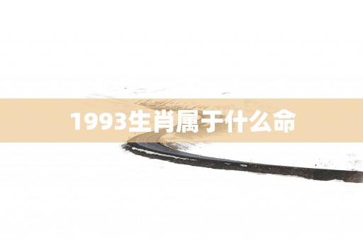 1993生肖属于什么命
