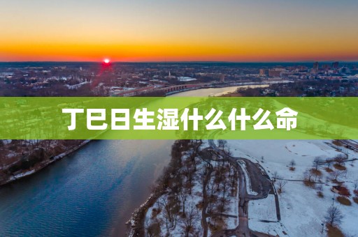 丁巳日生湿什么什么命