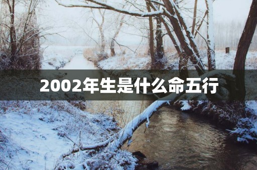 2002年生是什么命五行