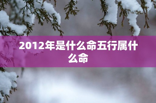 2012年是什么命五行属什么命