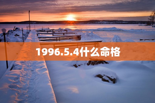 1996.5.4什么命格