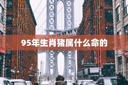 95年生肖猪属什么命的