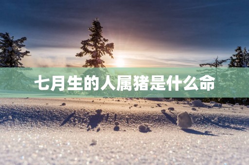 七月生的人属猪是什么命