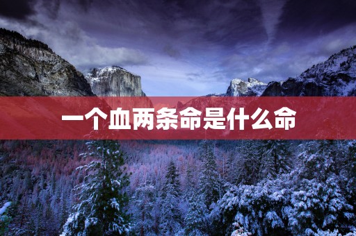 一个血两条命是什么命