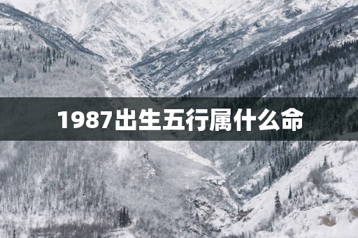 1987出生五行属什么命