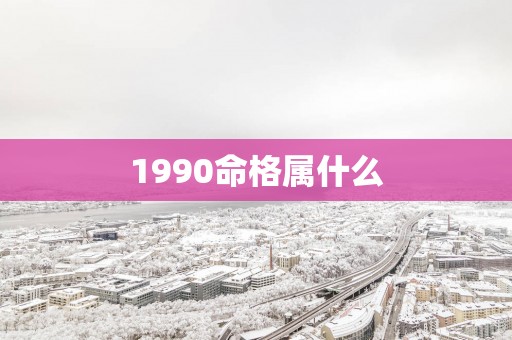 1990命格属什么