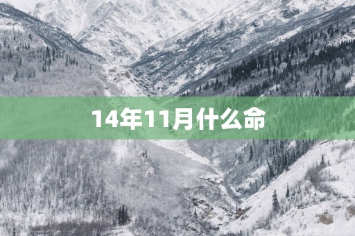 14年11月什么命