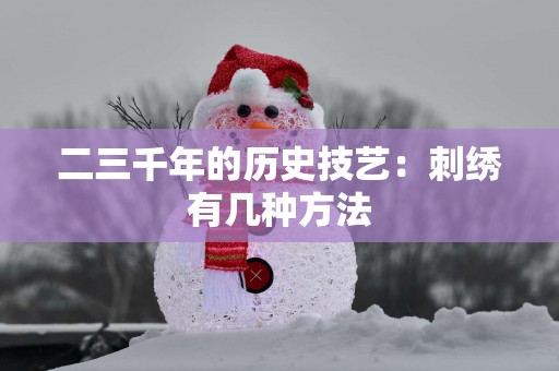 二三千年的历史技艺：刺绣有几种方法