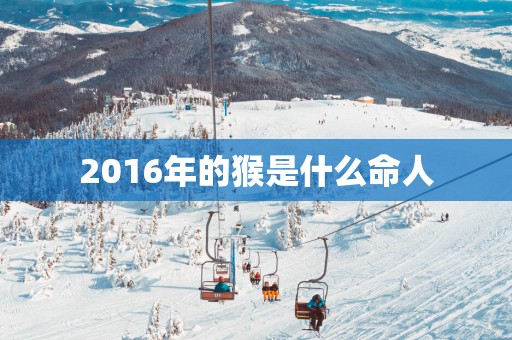 2016年的猴是什么命人