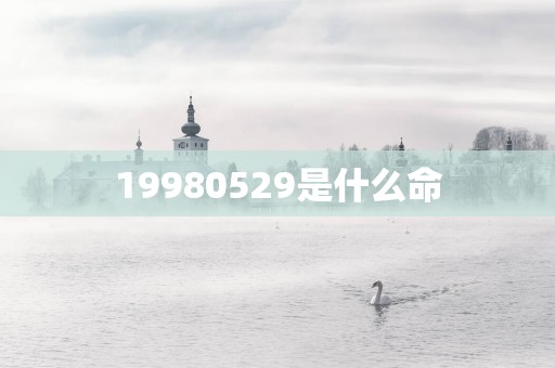 19980529是什么命