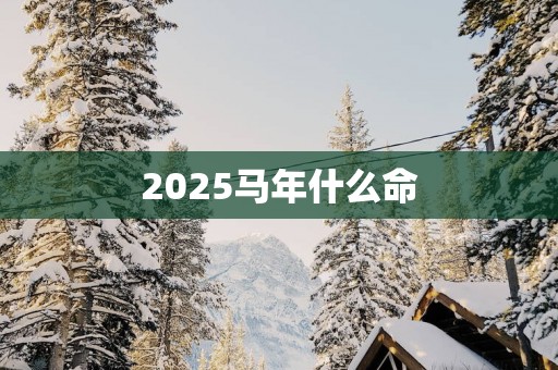 2026马年什么命