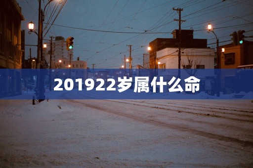 201922岁属什么命