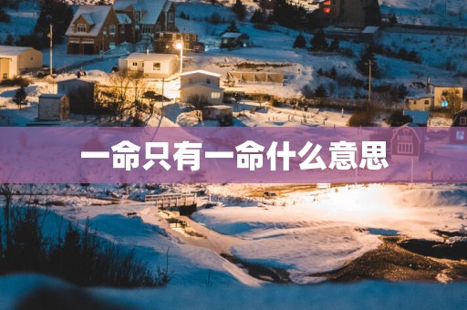 一命只有一命什么意思