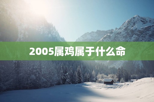2005属鸡属于什么命
