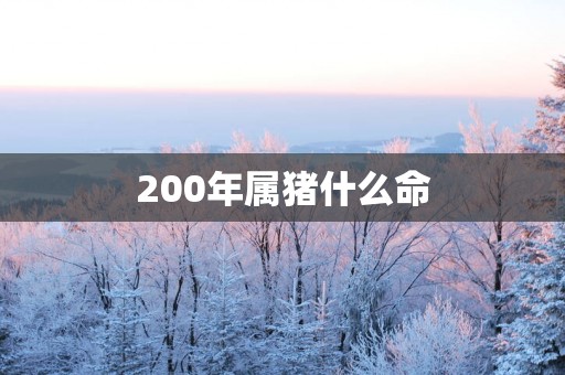 200年属猪什么命