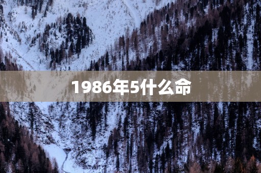 1986年5什么命
