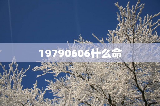 19790606什么命