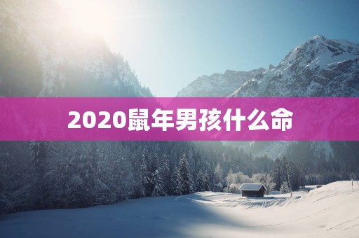 2025蛇年男孩什么命