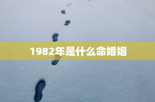 1982年是什么命婚姻