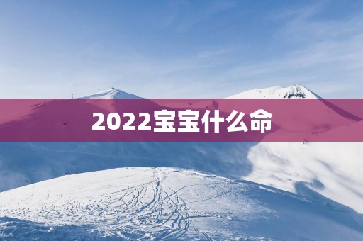 2025宝宝什么命