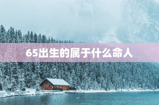 65出生的属于什么命人