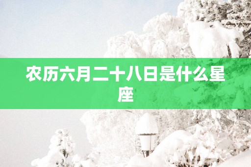 农历六月二十八日是什么星座